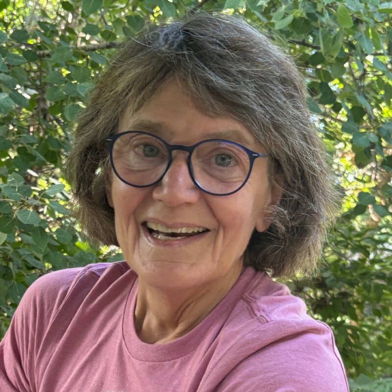 Lois Adamson, Niwot incorporation volunteer